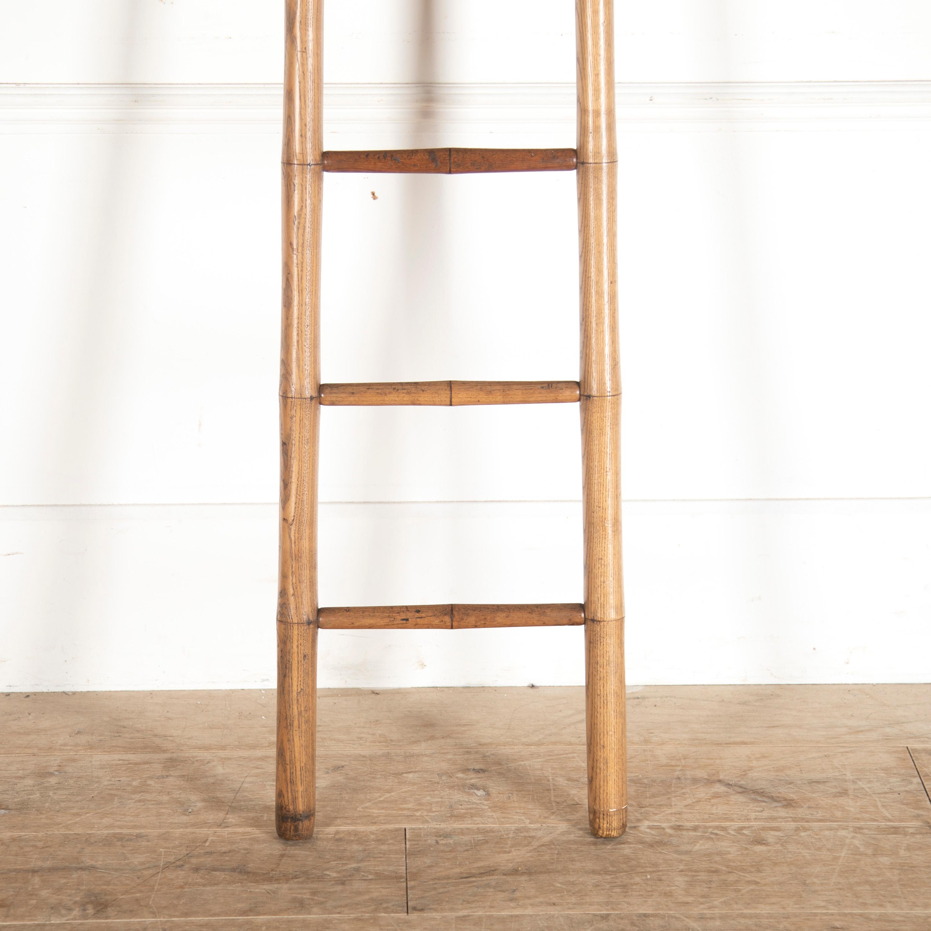 Victorian 19th Century Faux Bamboo Library Ladder