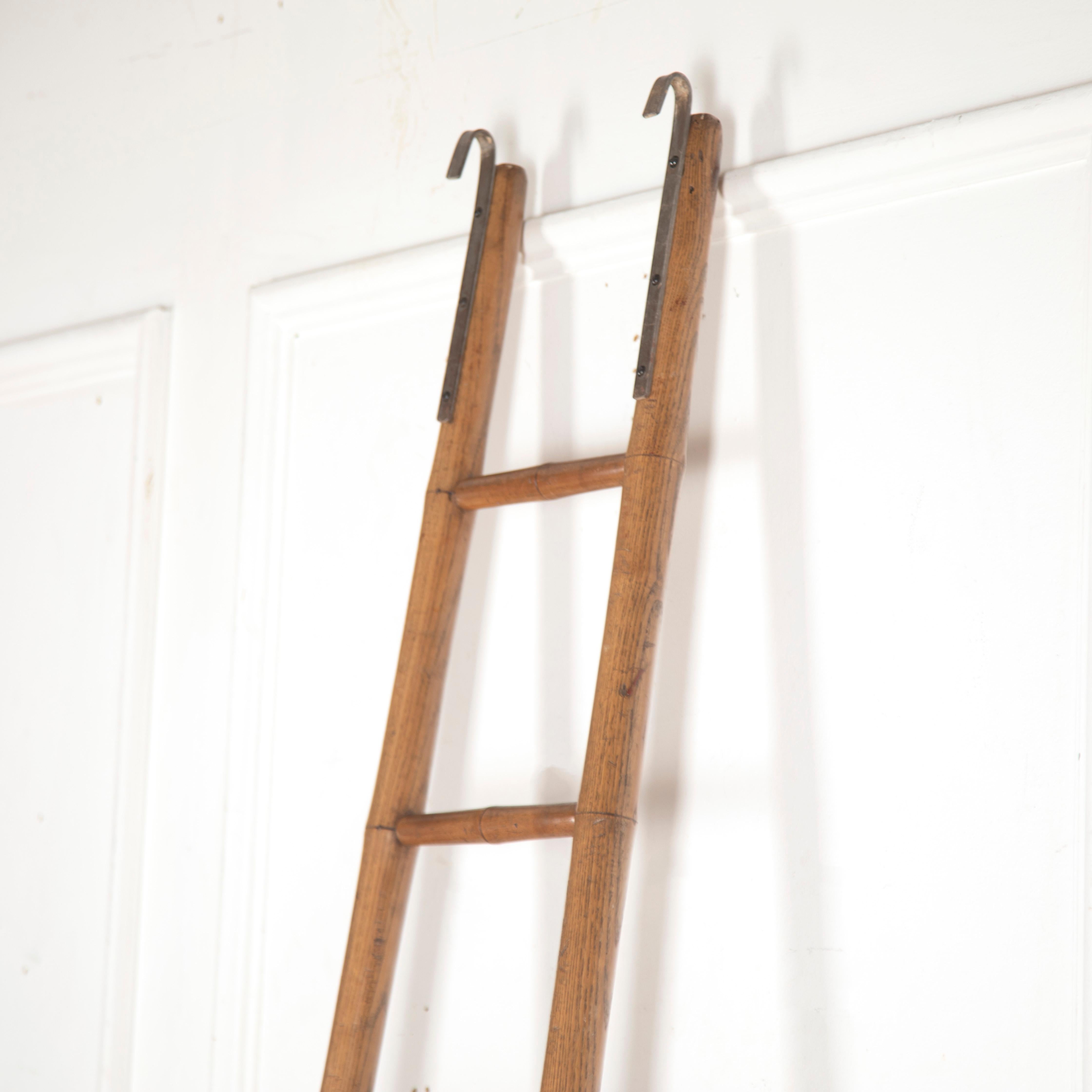 English 19th Century Faux Bamboo Library Ladder
