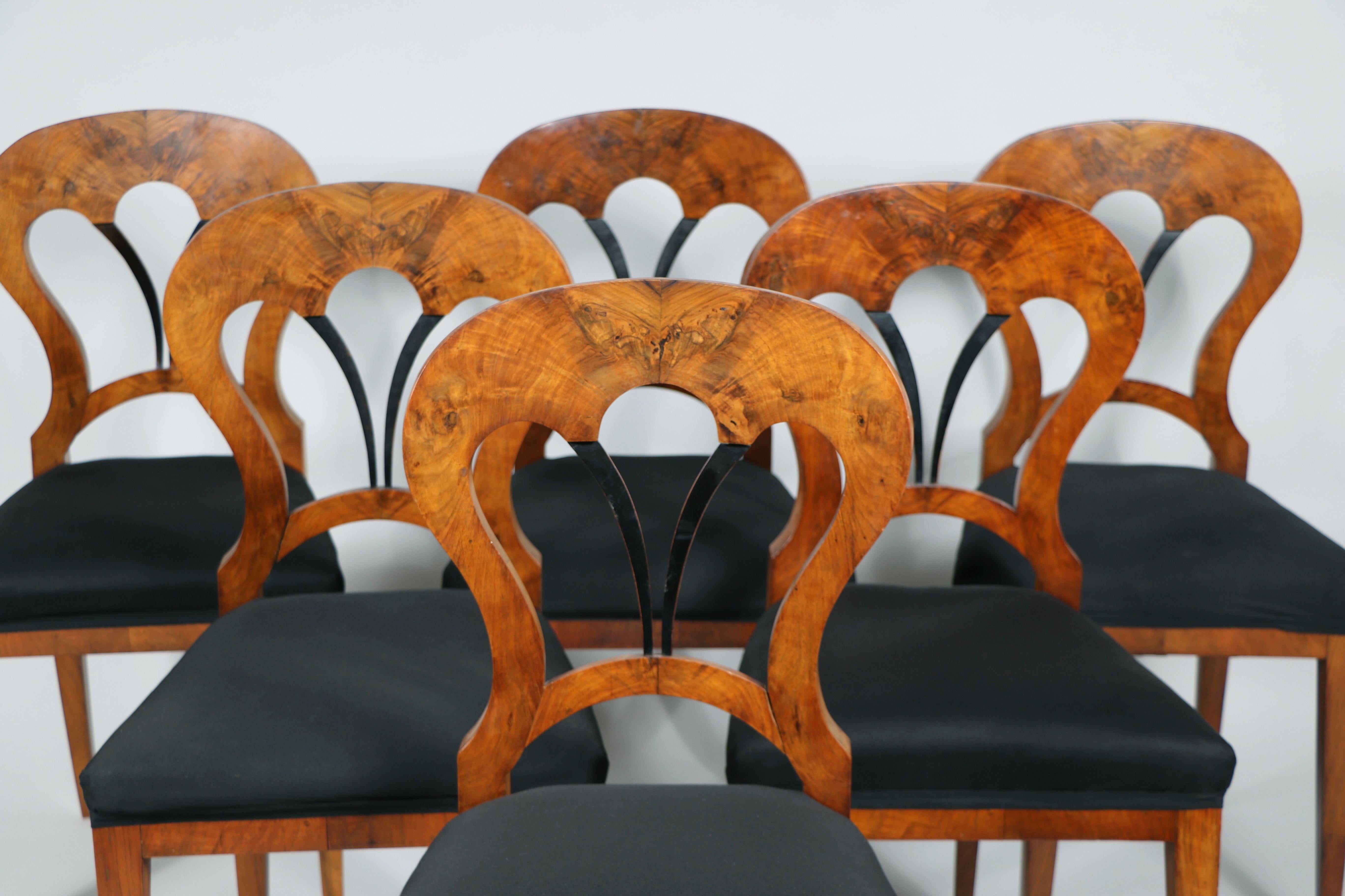 19. Jahrhundert Feines Biedermeier Set aus sechs Stühlen und Tisch. Wiener Stadt, um 1825. im Angebot 2