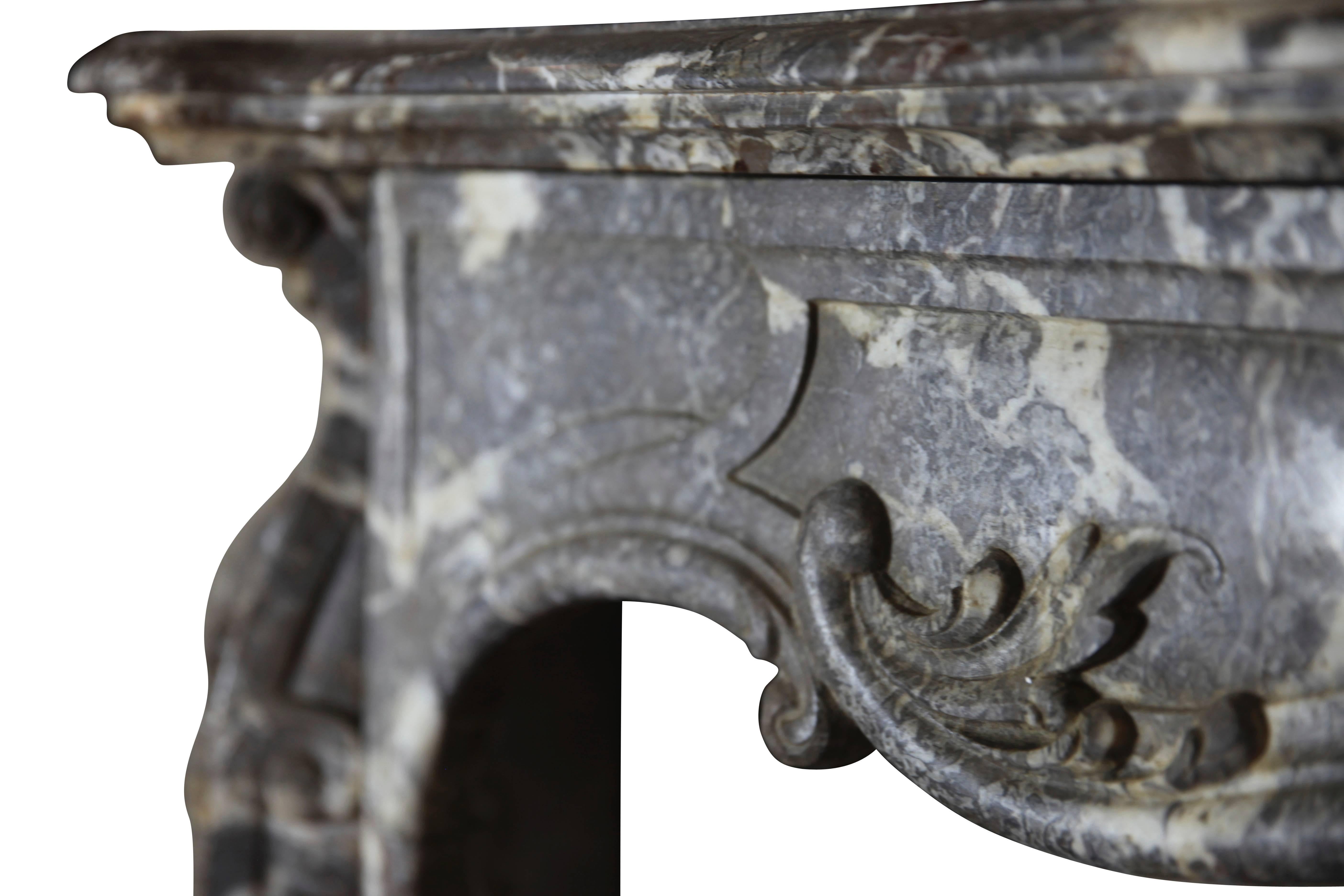 19th Century Fine European Grey Marble Antique Fireplace Surround For Sale 2