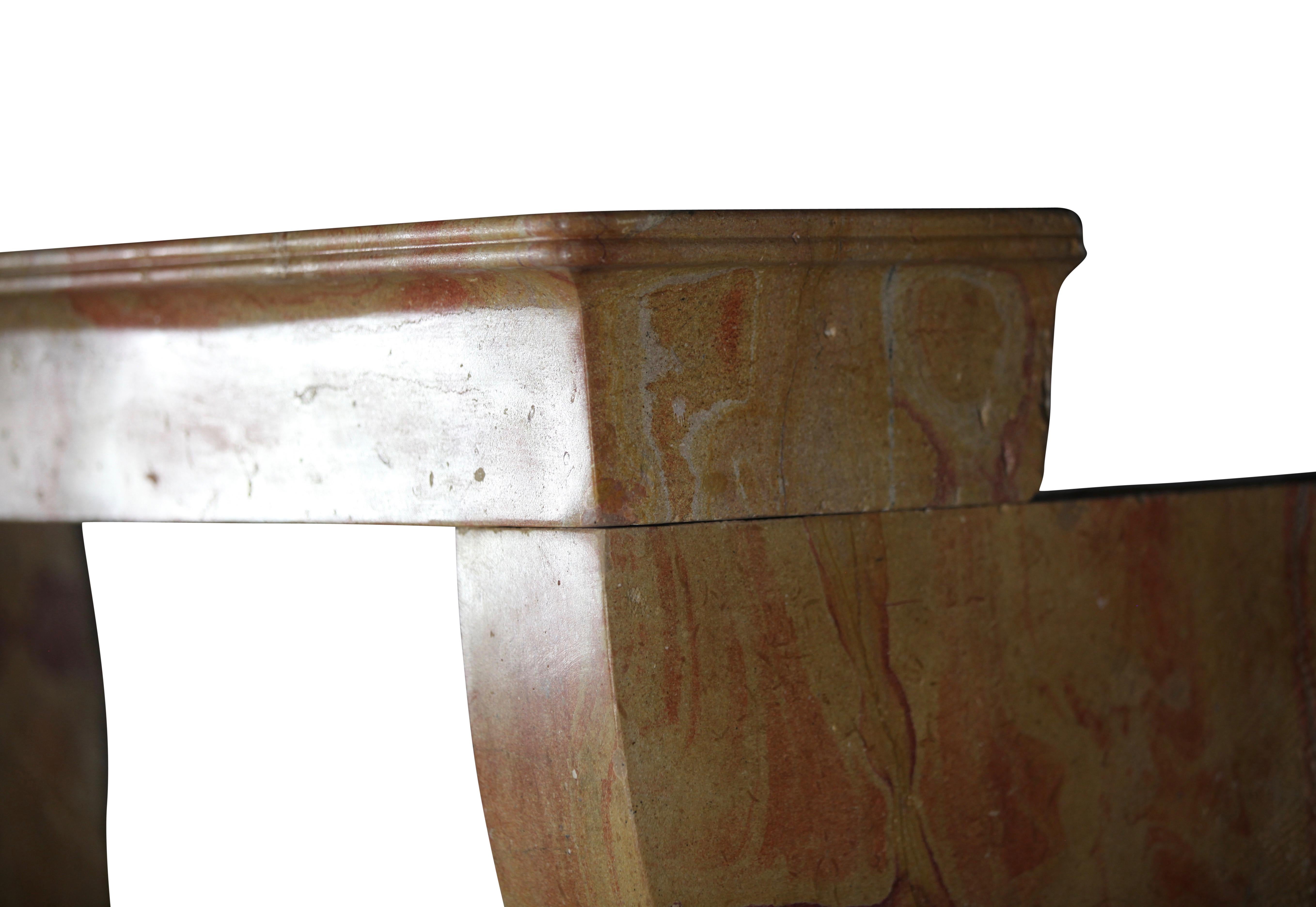 19th Century Fine European Vintage Fireplace Mantle from France In Good Condition For Sale In Beervelde, BE