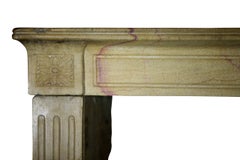 Elegante cornice per caminetto in pietra calcarea del 19° secolo