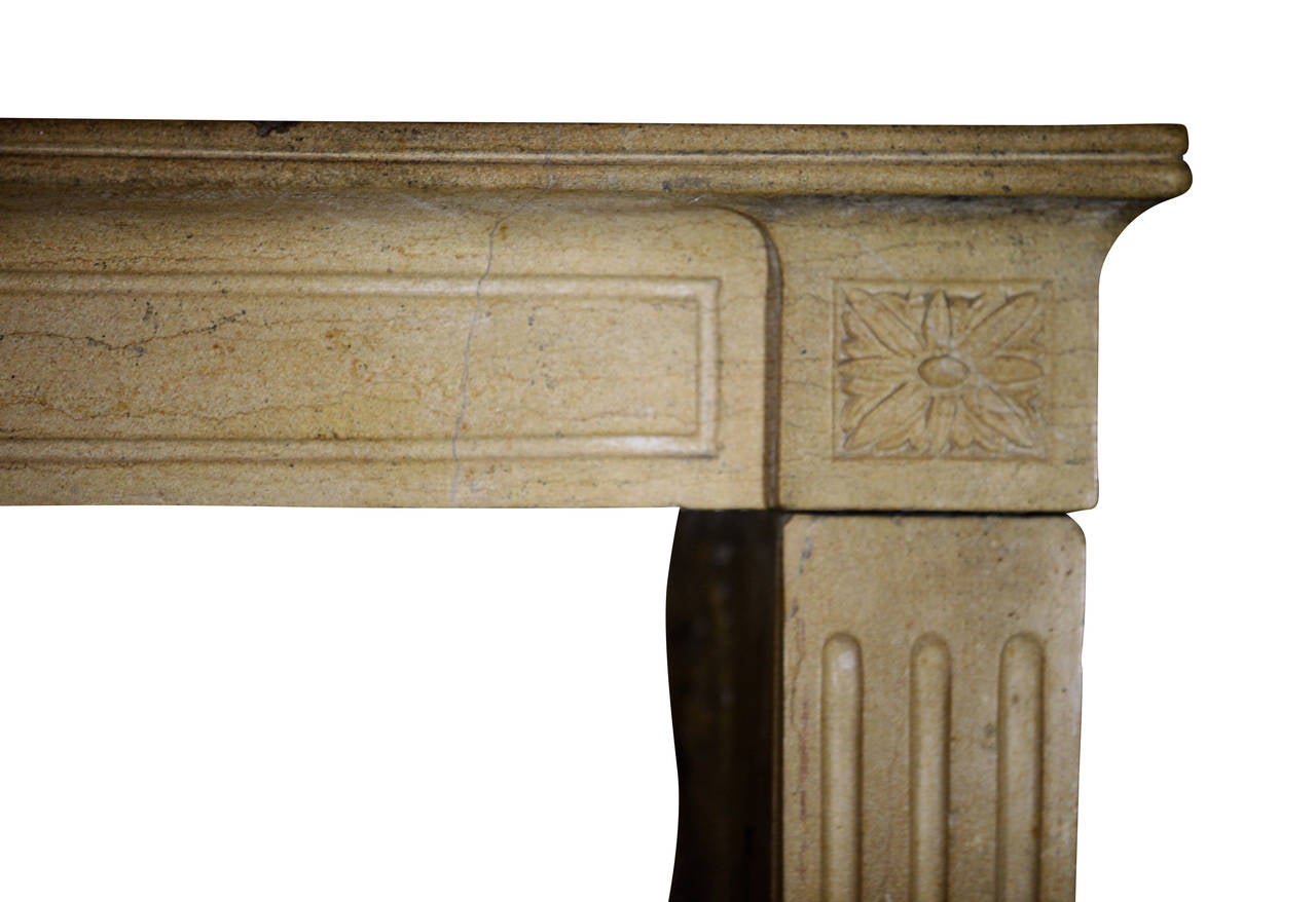 Carved 19th Century Fine French Elegant Limestone Antique Fireplace Surround For Sale