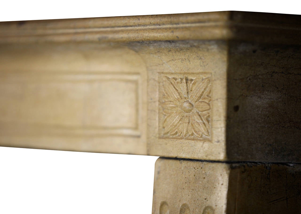 Stone 19th Century Fine French Elegant Limestone Antique Fireplace Surround For Sale