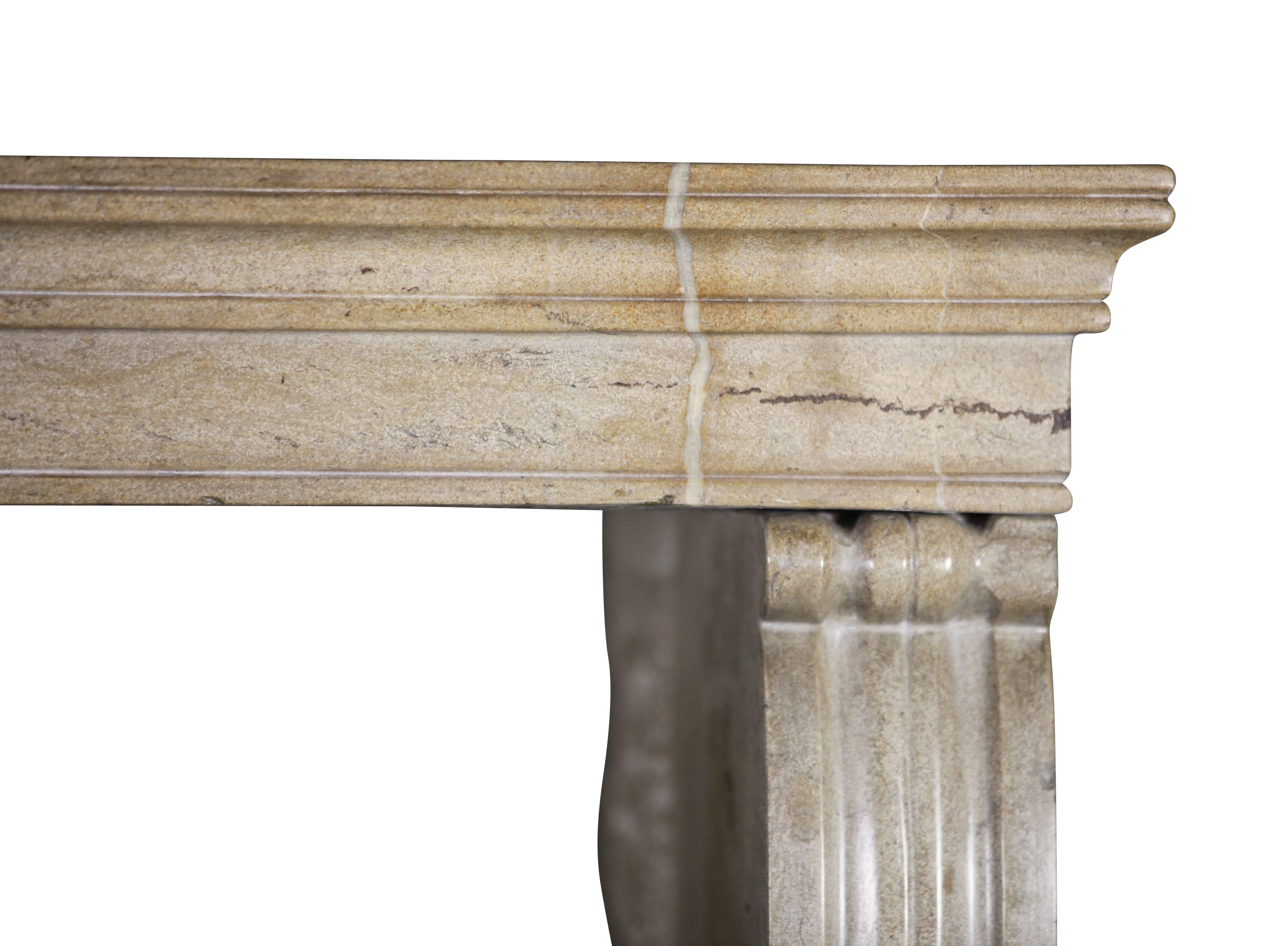 Louis Philippe 19th Century Fine French Hard Stone Antique Fireplace Surround For Sale