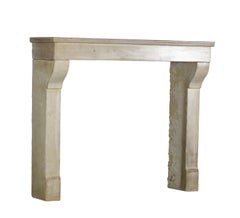 19th Century Antique French Vintage Fireplace Mantel