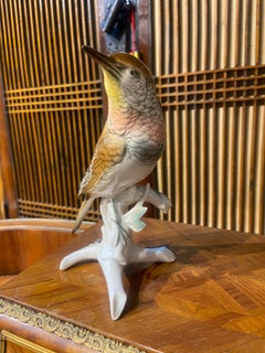 Figure d'oiseau en porcelaine fine peinte à la main du 19ème siècle par ENS, Allemagne