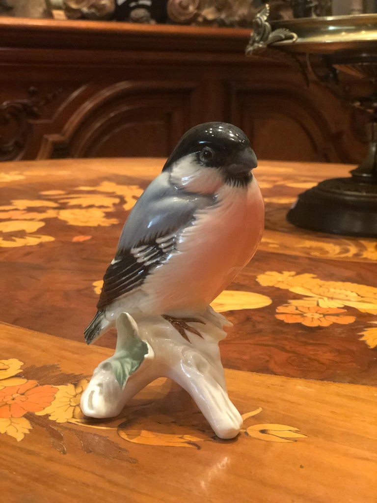19th Century Fine Porcelain Bird Figure in Bright Colours by ENS ...