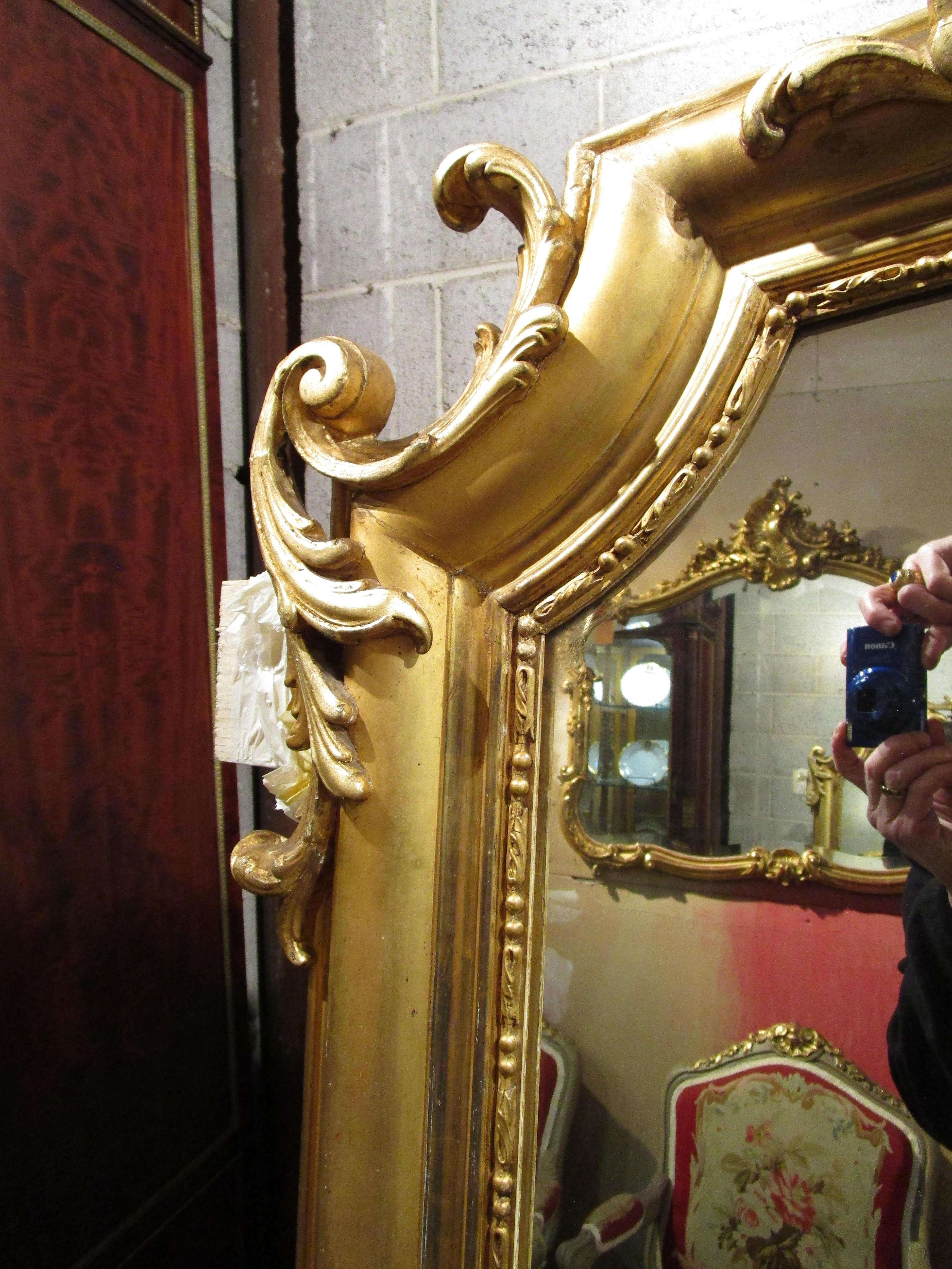 French 19th Century Fine Regence Gilt Carved Large Mirror