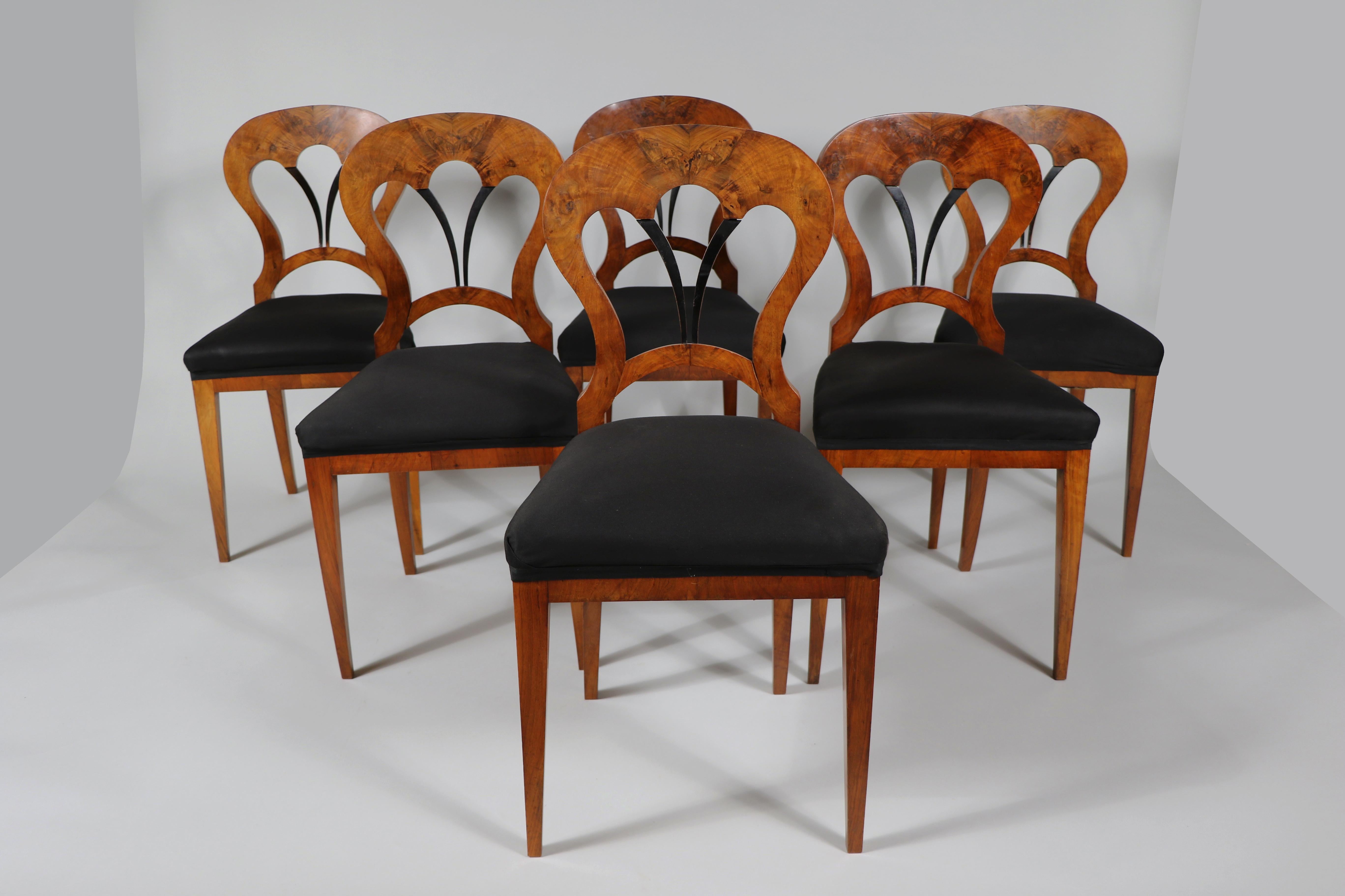 Satz von sechs Biedermeier-Stühlen aus Nussbaumholz, 19. Jahrhundert. Wiener Stadt, um 1825. im Zustand „Gut“ im Angebot in Vienna, AT
