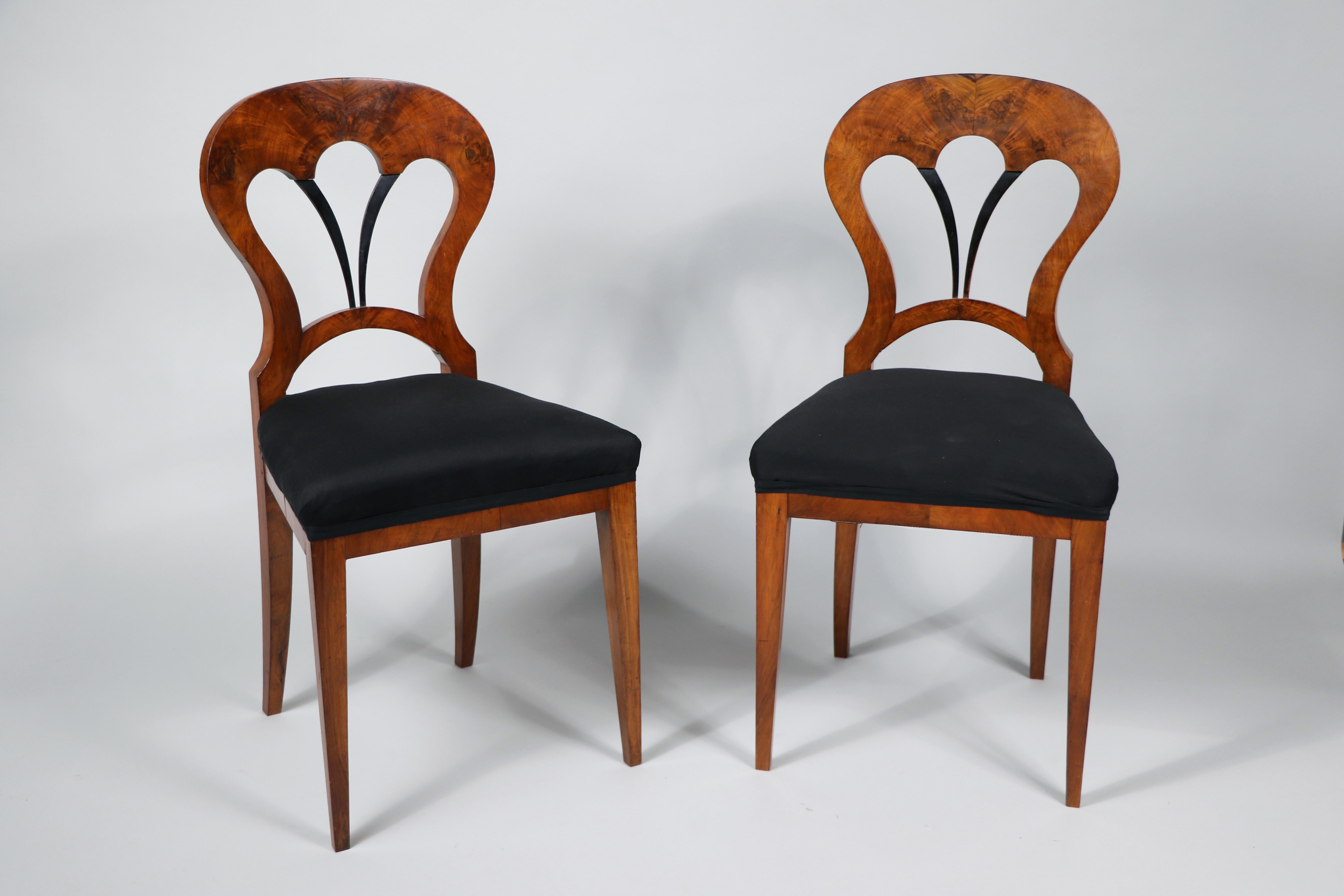 19. Jahrhundert Feiner Satz von sechs Biedermeier-Stühlen aus Nussbaum. Wiener Stadt, um 1825. im Angebot 3