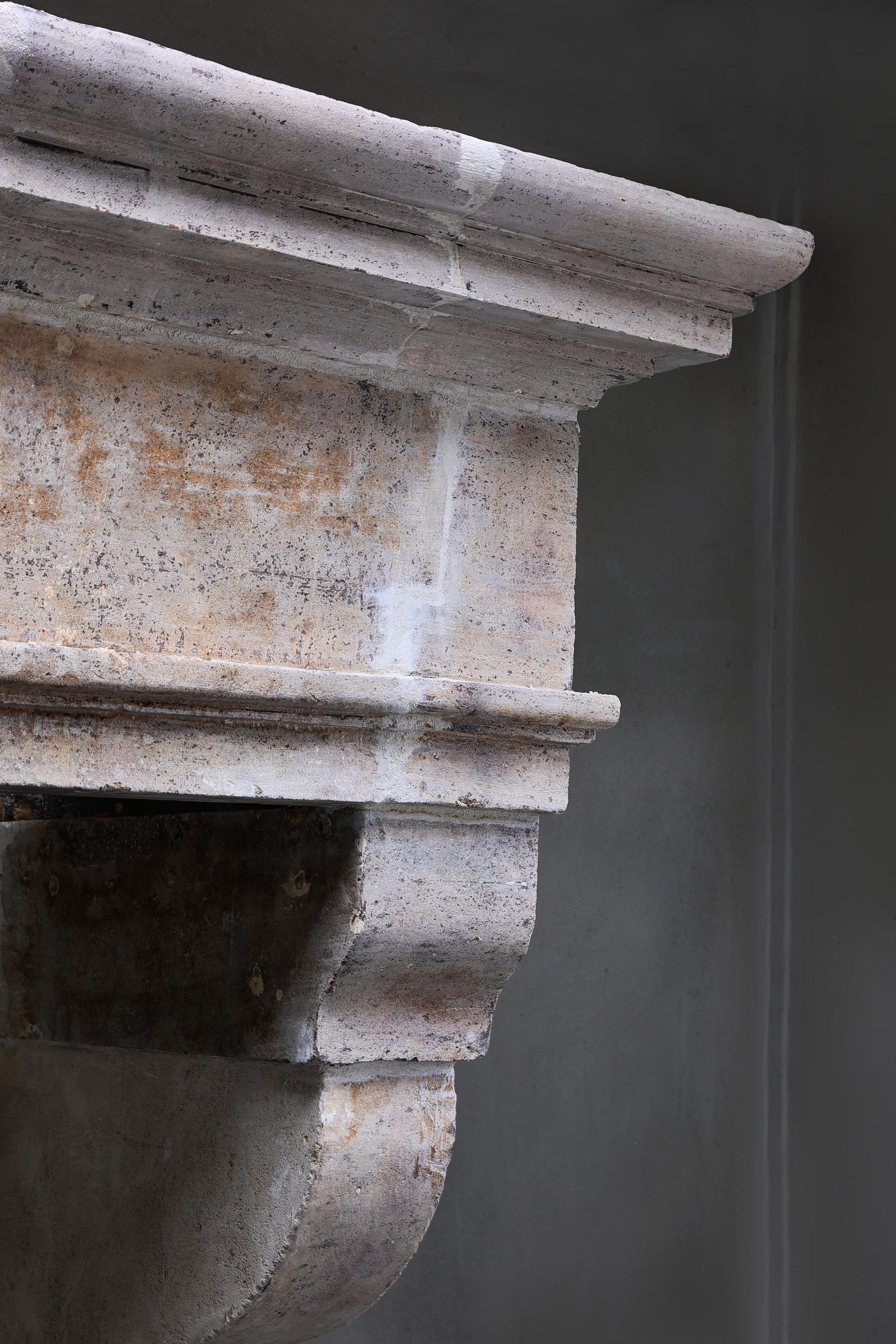19th Century Fireplace in Style of Louis XIII of French Limestone For Sale 5