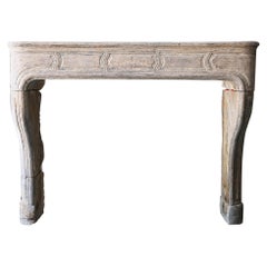 19th Century Fireplace in Style of Louis XVI