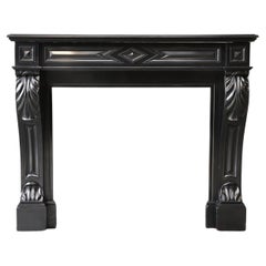 Antique 19th century fireplace in style of Louis XVI of Noir de Mazy marble