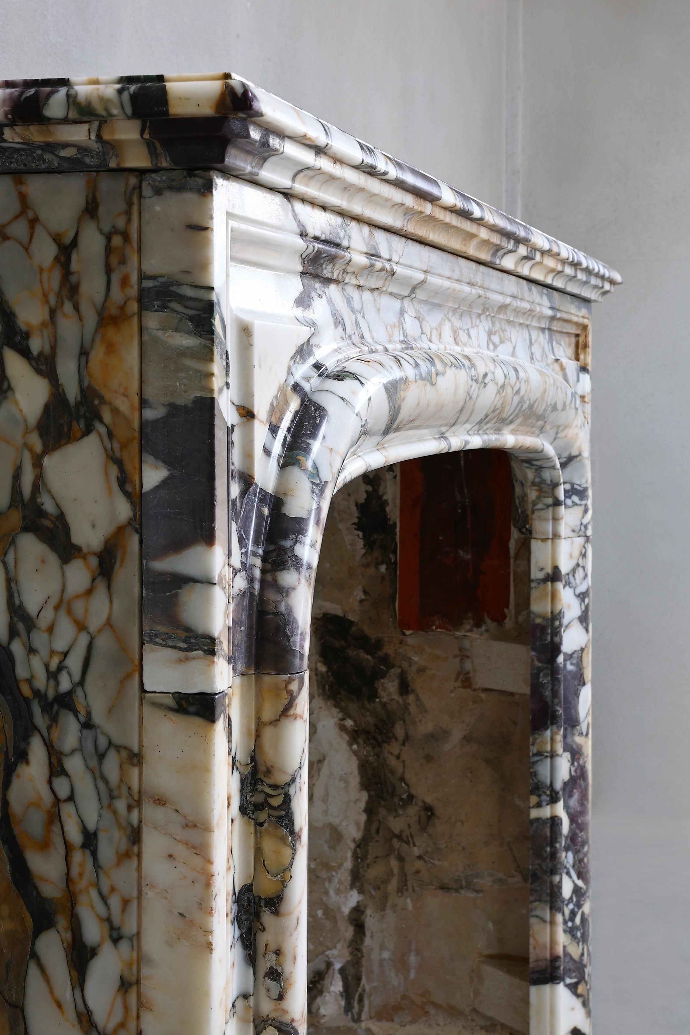 19th Century Fireplace of Breche Marble in Style of Louis XIV 9