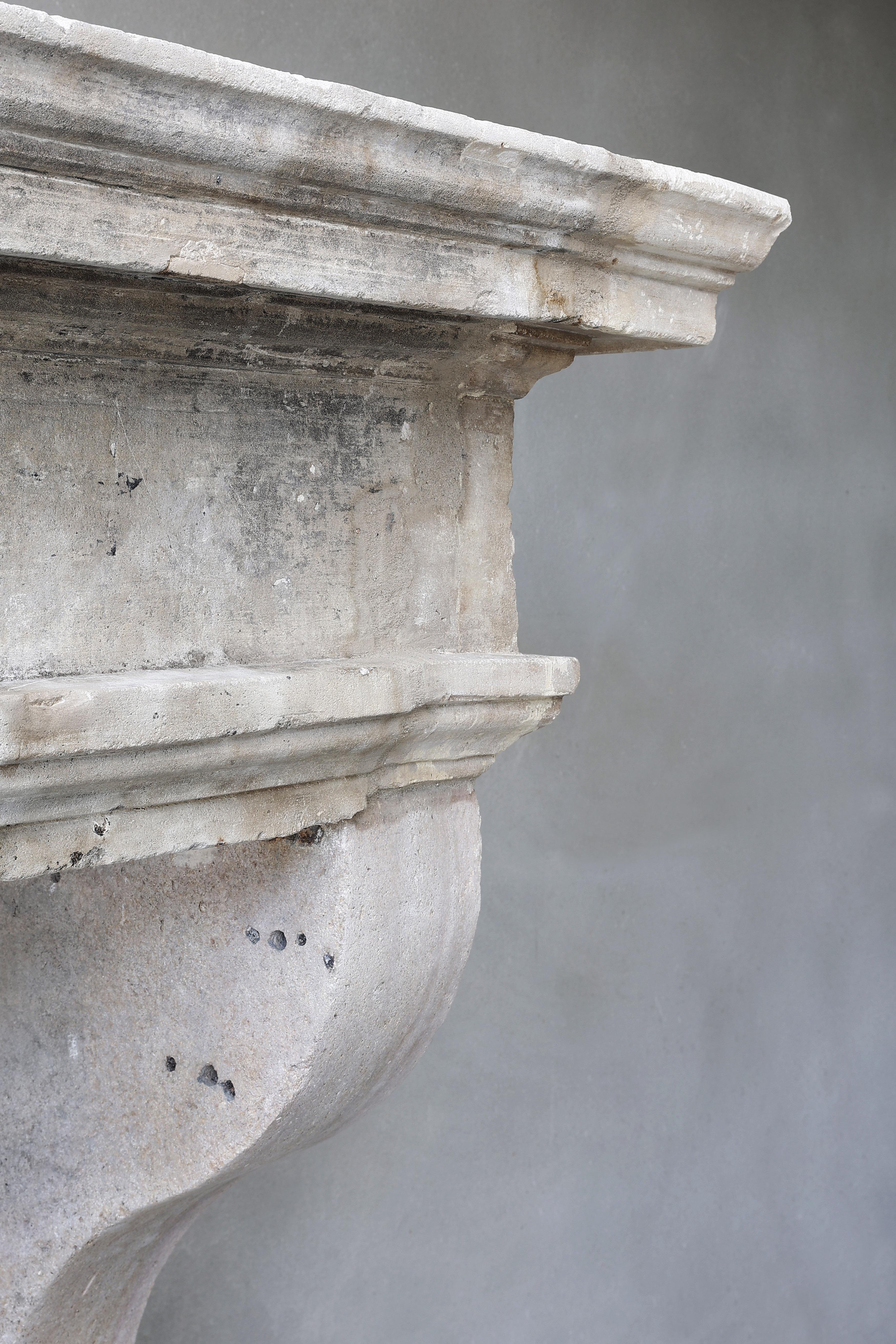 19th Century Fireplace of French Limestone in Campagnarde Style 4