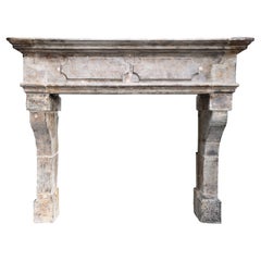 19th Century Fireplace of French Limestone in Style of Louis XIII