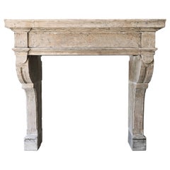 19th Century Fireplace of French Limestone in Style of Louis XIII