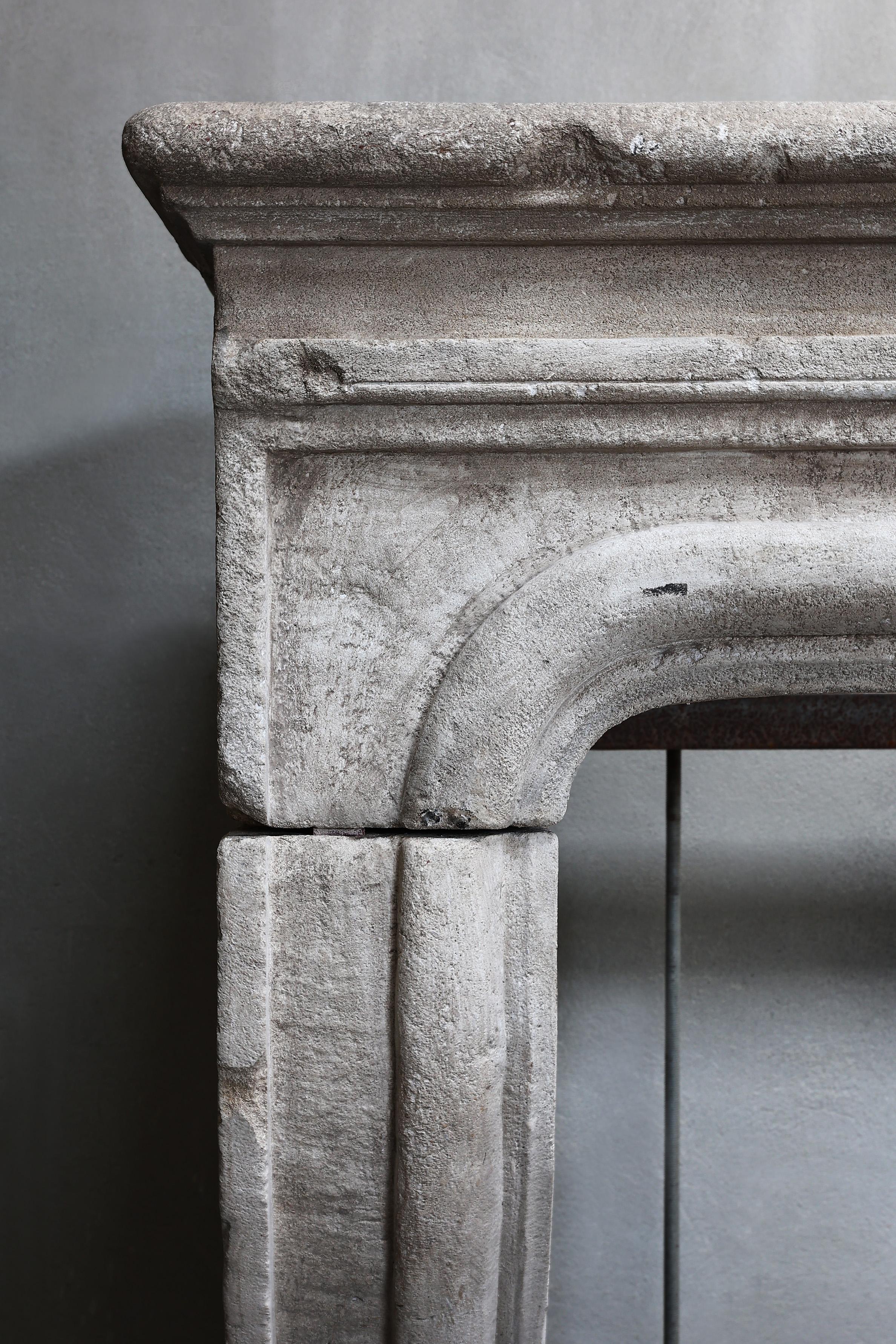 19th Century Fireplace of French Limestone in Style of Louis XIV For Sale 5