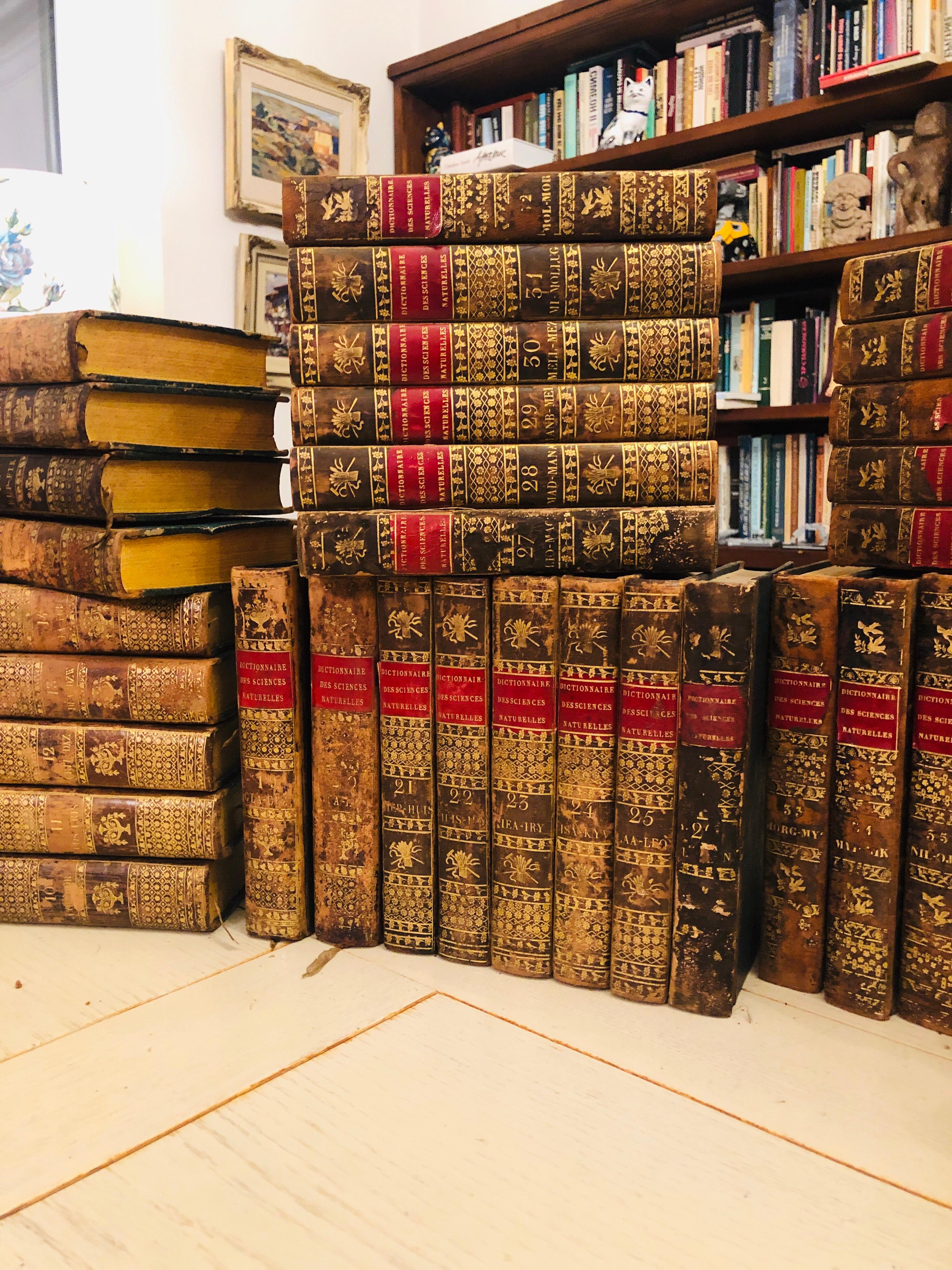 French 19th Century First Edition Collection of Dictionaries in Full Group of 60 Books
