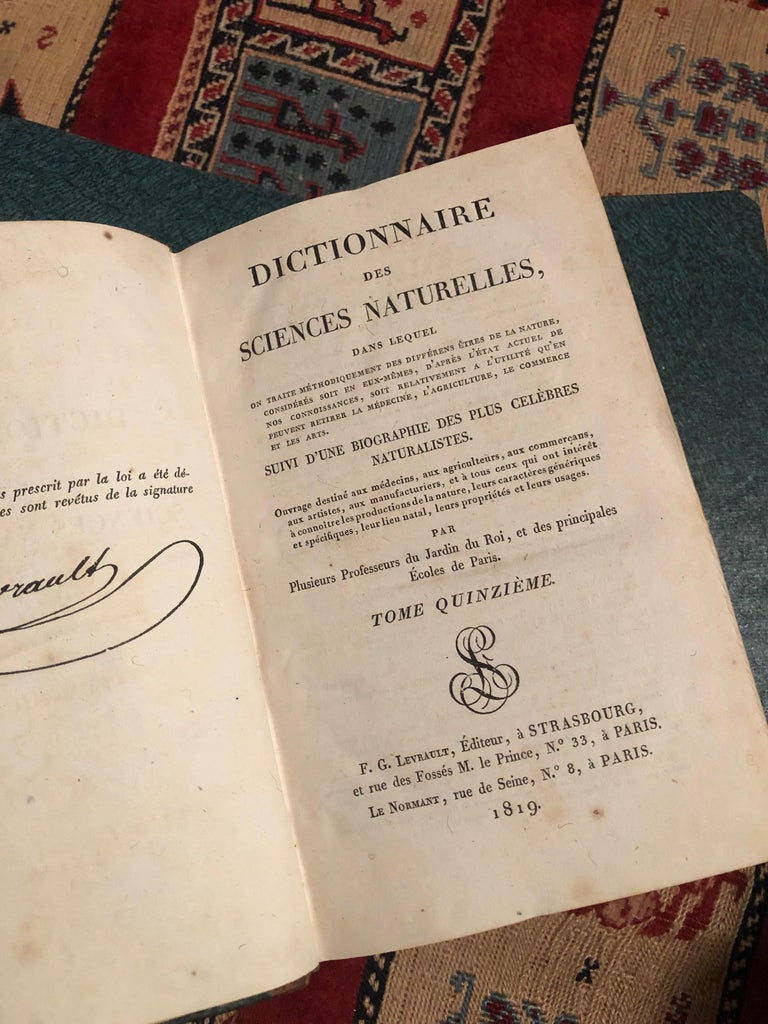19th Century First Edition Collection of Dictionaries in Full Group of