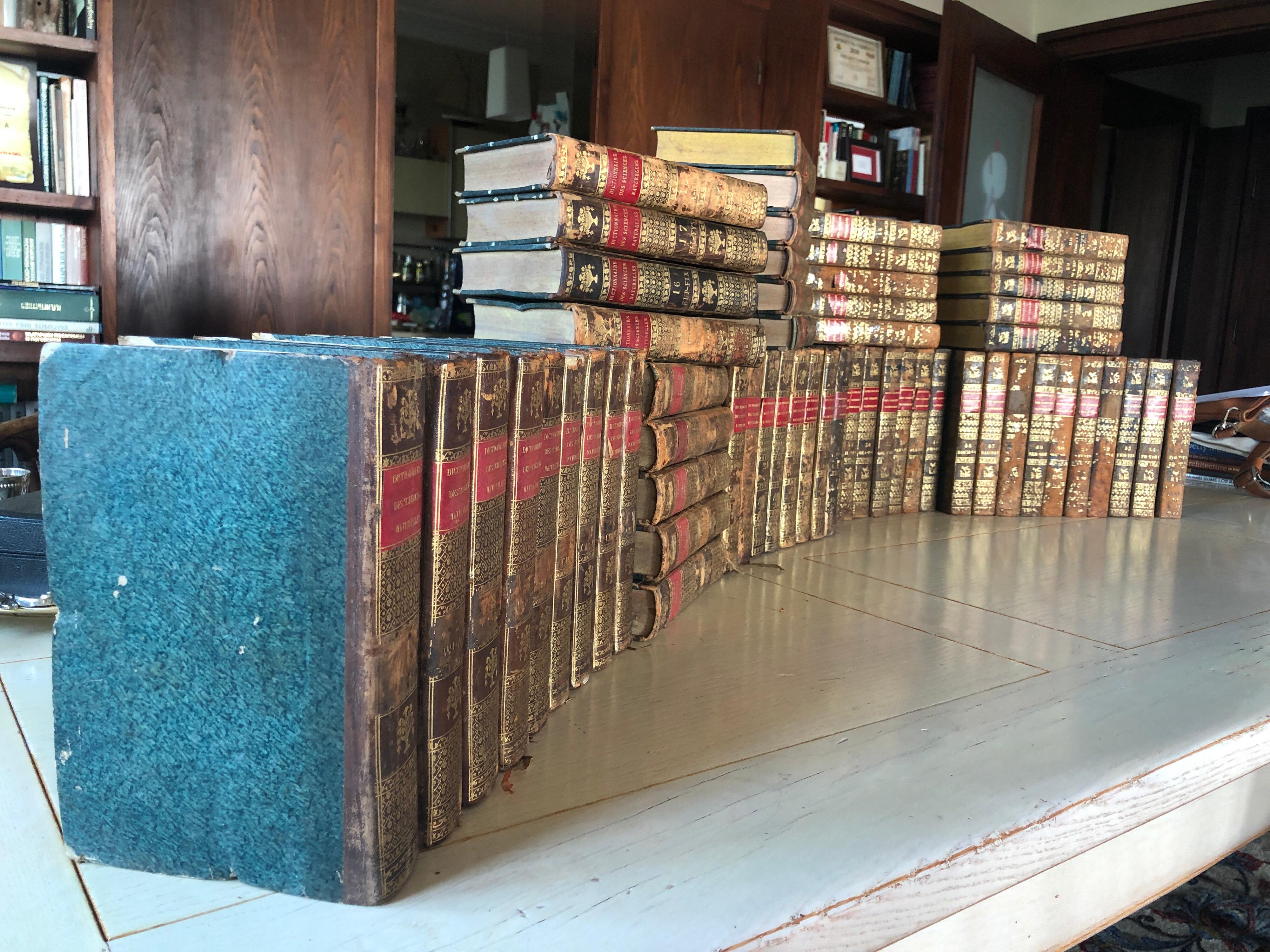 19th Century First Edition Collection of Dictionaries in Full Group of 60 Books 1