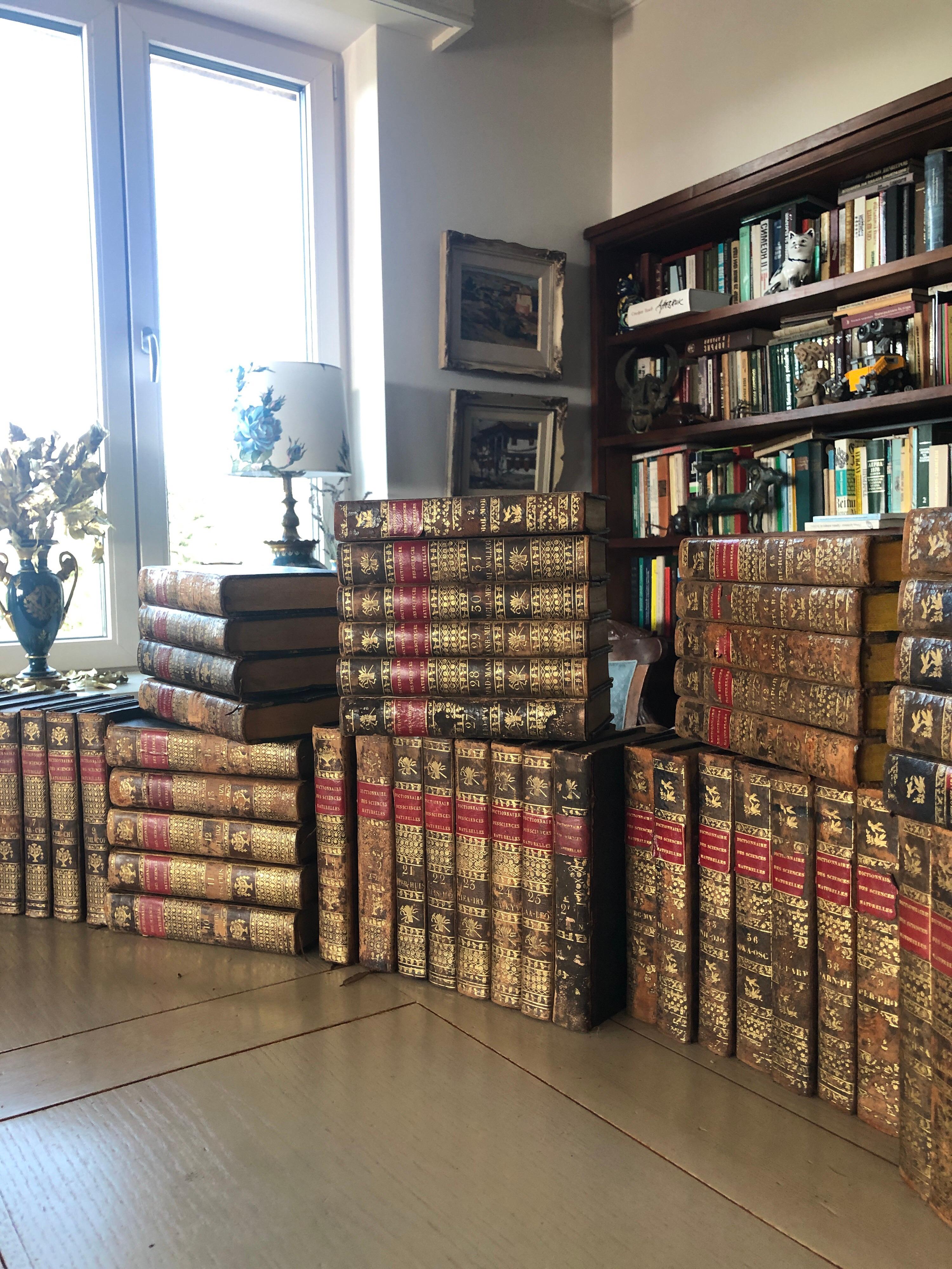 19th Century First Edition Collection of Dictionaries in Full Group of 60 Books 2