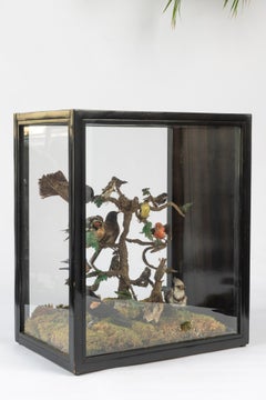 19th Century Five Sided Taxidermy Glass Showcase of Sixteen Exquisite Birds