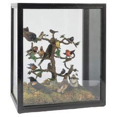 19th Century Five Sided Taxidermy Glass Showcase of Sixteen Exquisite Birds