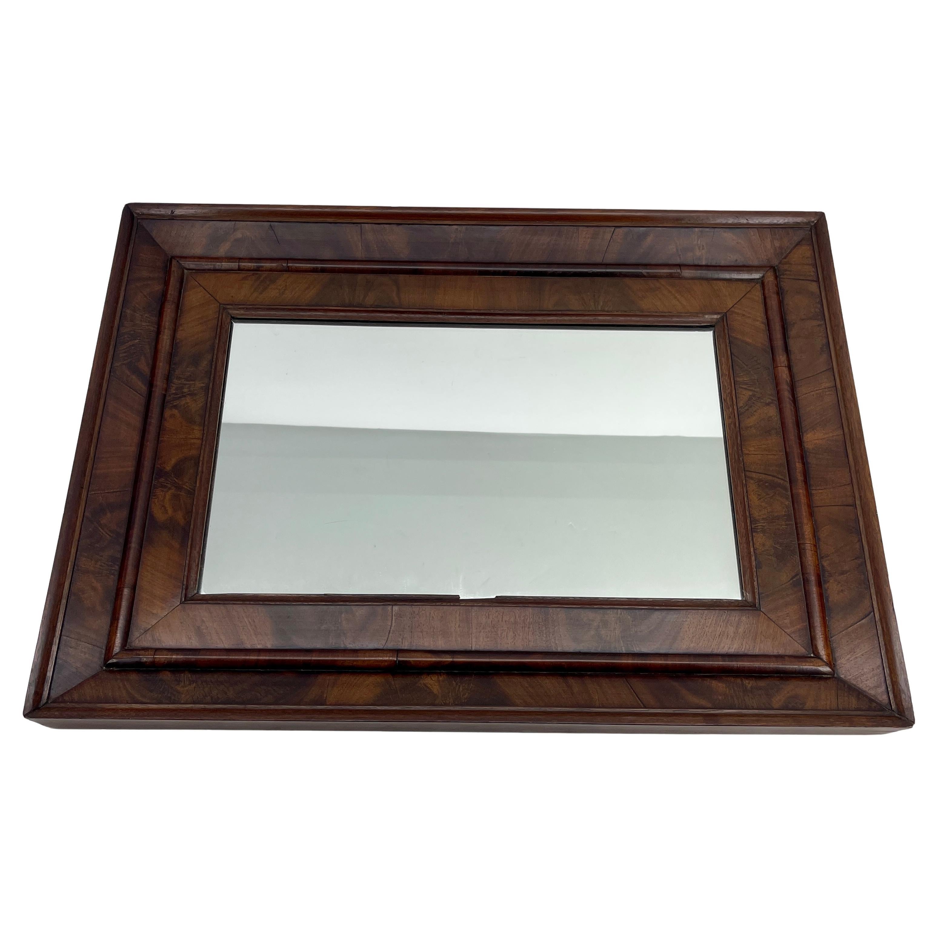 Hand-Crafted 19th Century Flaming Mahogany Veneer Rectangular Mirror, American, 1880 For Sale