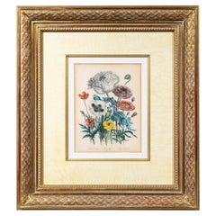 Gravure florale du 19e siècle d'après Jane Loudon