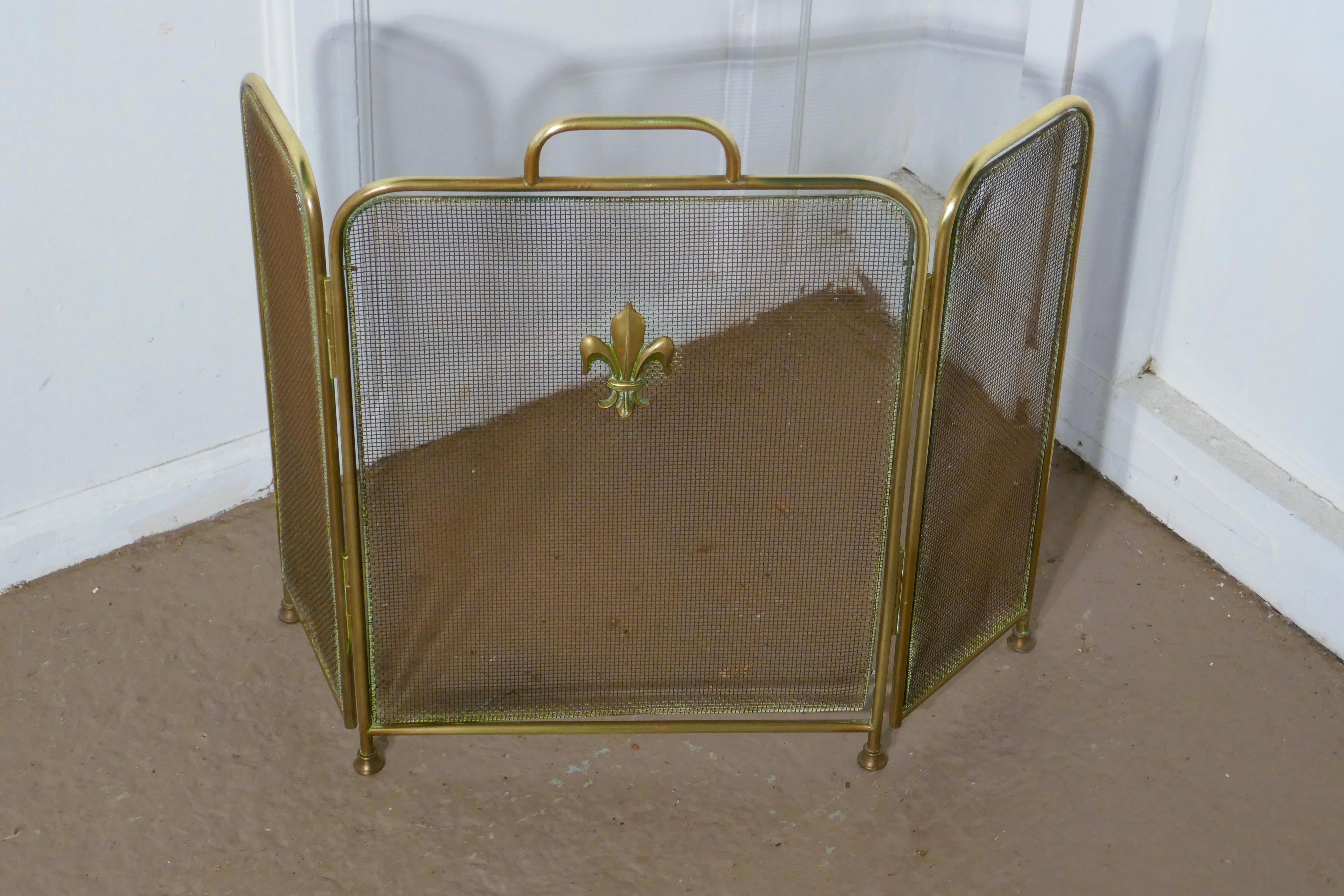 19th century folding brass fire guard

This very useful spark guard is made in brass, the brass frame has fine mesh infill decorated with a fleur-des-lys, it has the added advantage that it folds flat for storage, and when opened out it can be