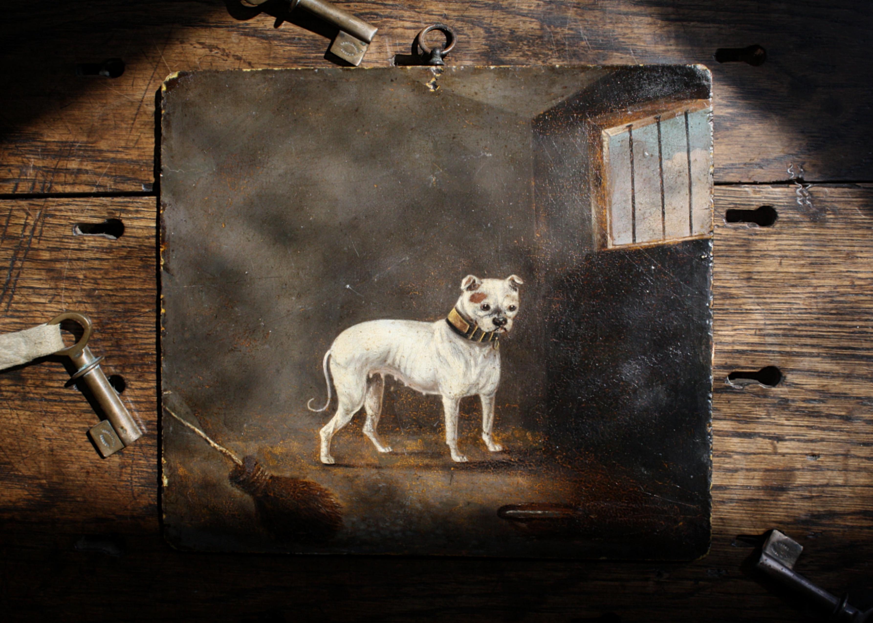 A striking oil on board of a bitch cream bulldog, with studded leather collar in muddled stabile.

In good clean original condition, overall age related craqueleur, with some minor chips and nibbles to the edging. 

The painting was poorly