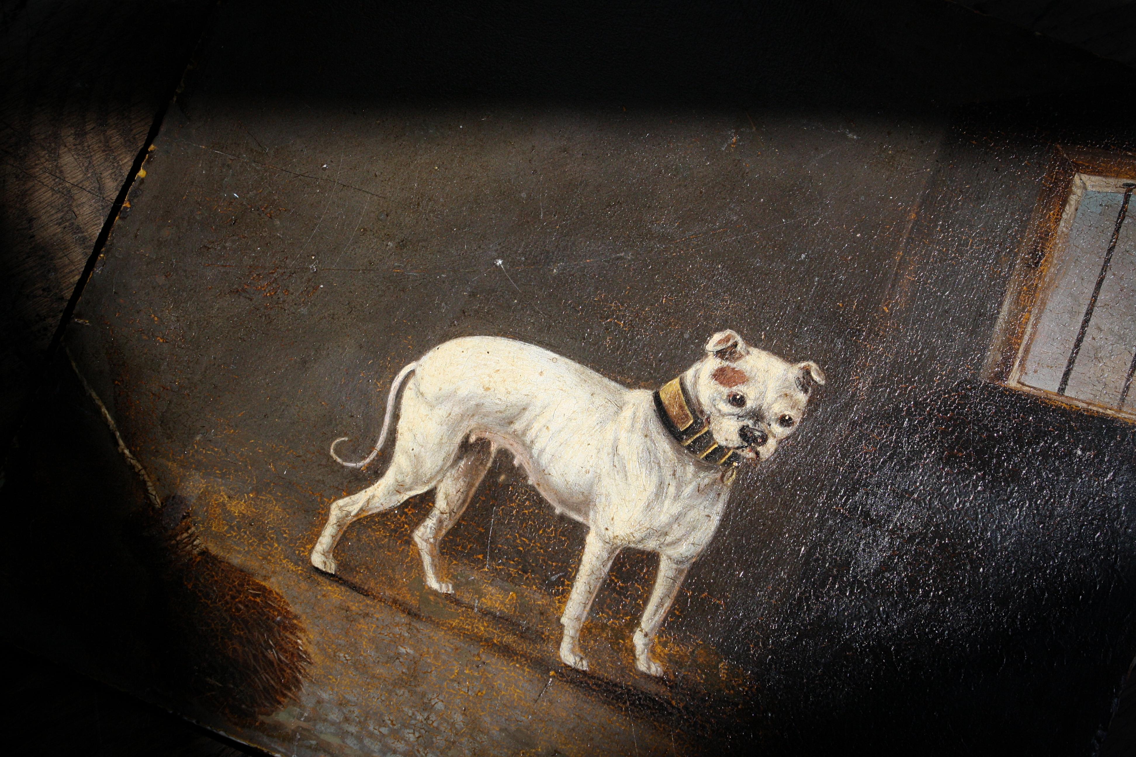 19th Century Folk Art Oil on Board James Lawrence Clark, Cream Bull Dog In Good Condition In Lowestoft, GB