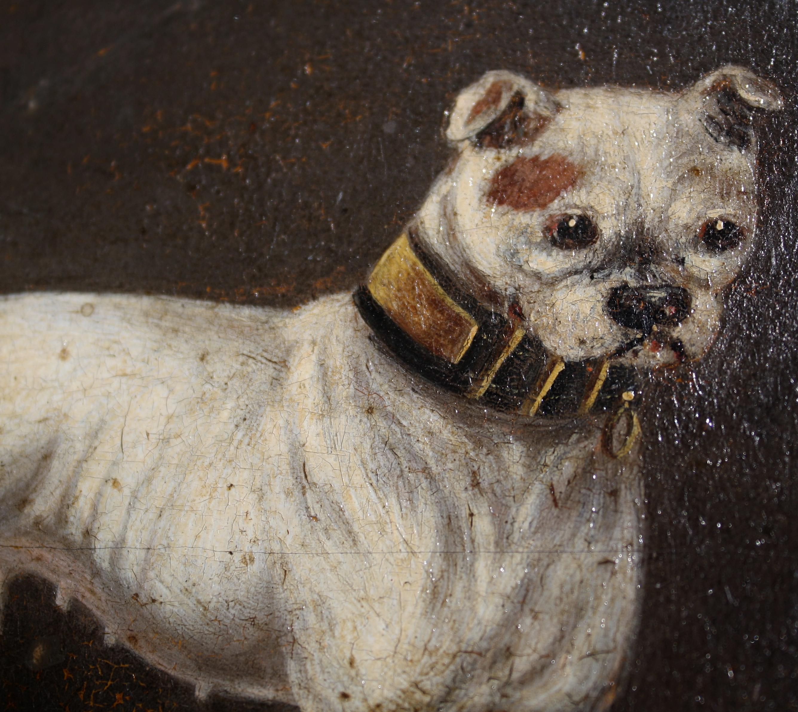 19th Century Folk Art Oil on Board James Lawrence Clark, Cream Bull Dog 3