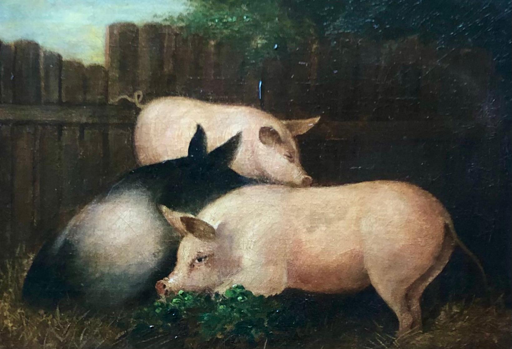 19th Century Folk Art Painting of Three Pigs In Good Condition In Wiscasset, ME