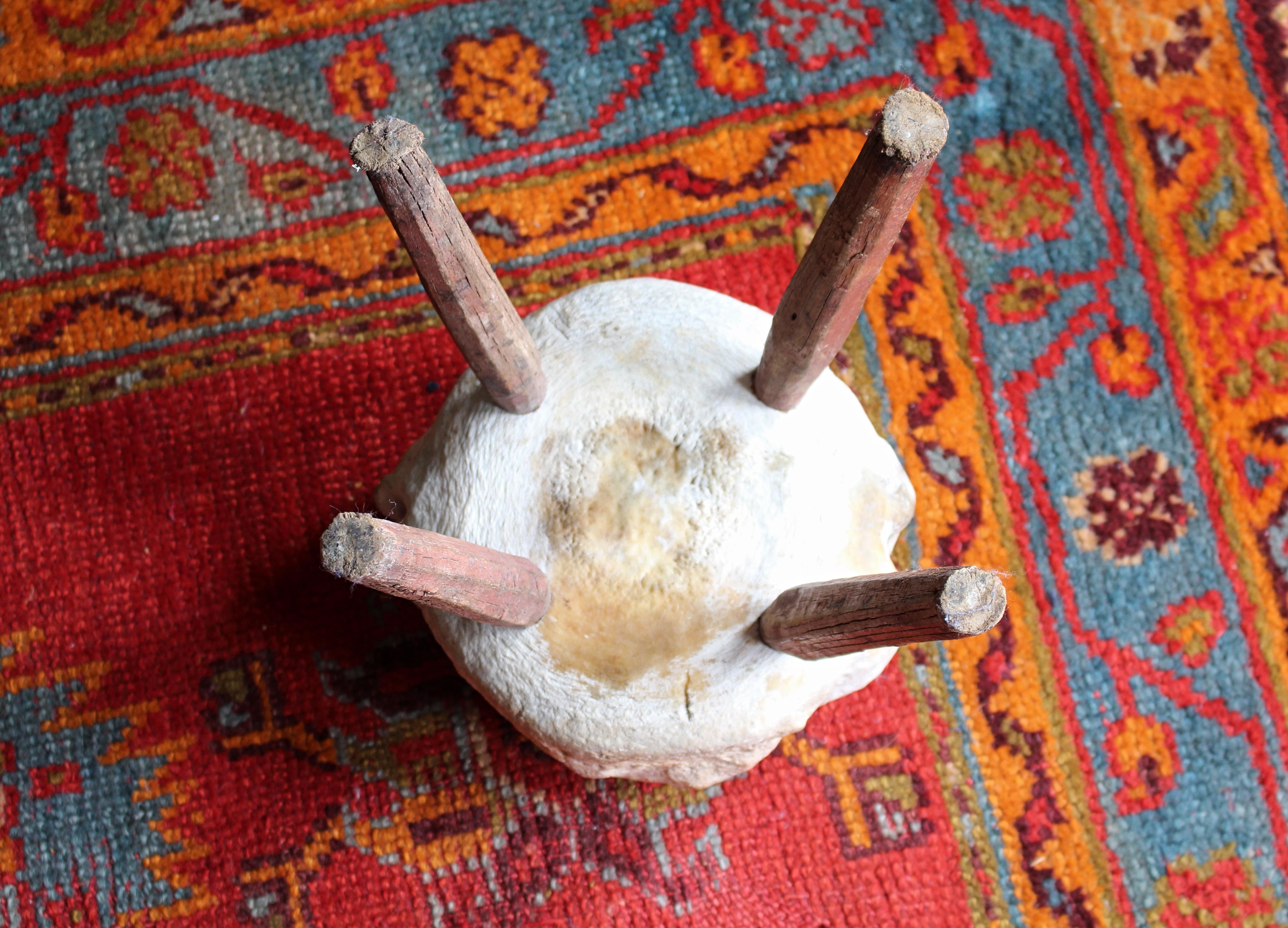 Taxidermie de tabouret de pied vernaculaire à vertèbres fossilisées du 19e siècle en vente 5