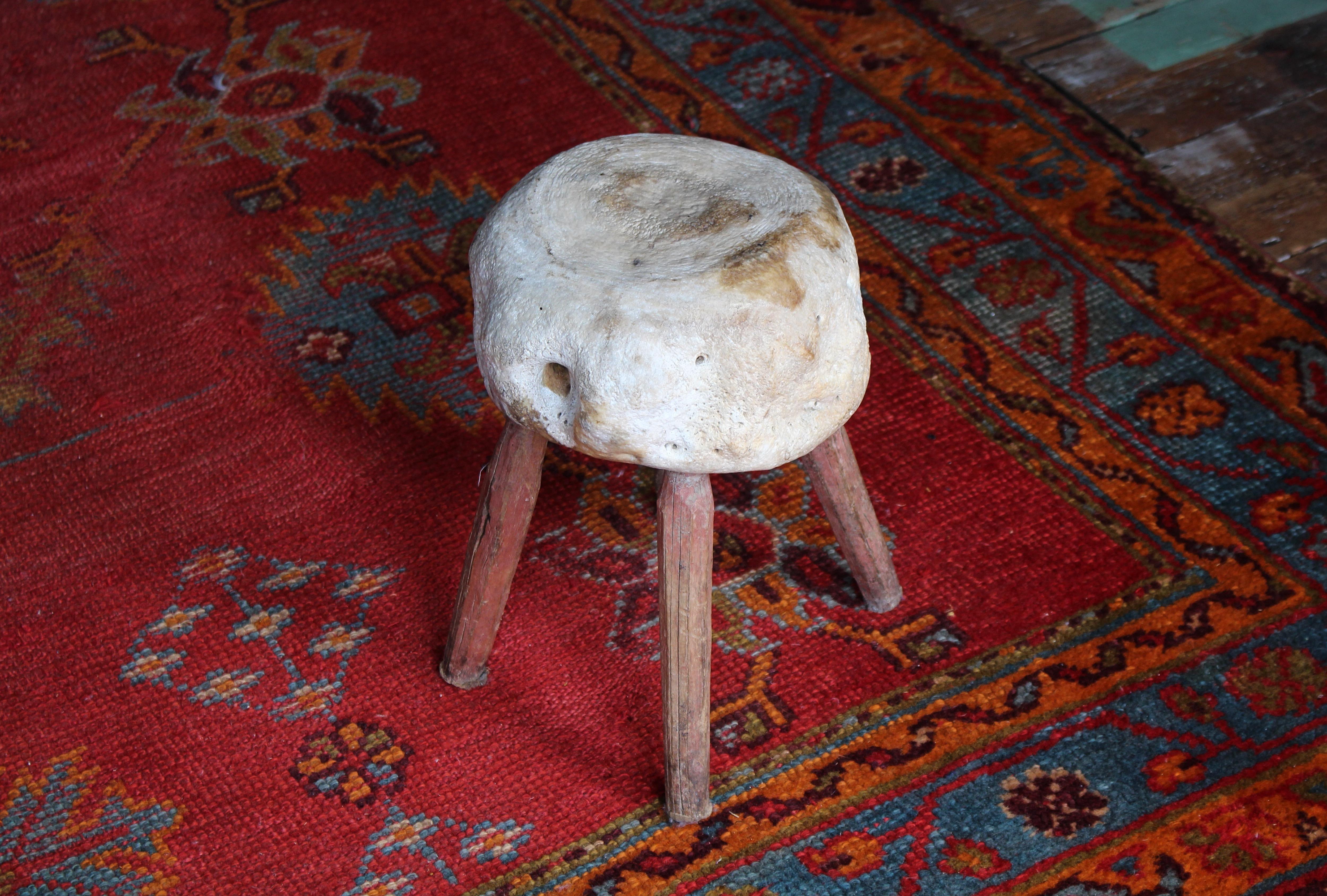 Taxidermie de tabouret de pied vernaculaire à vertèbres fossilisées du 19e siècle en vente 2