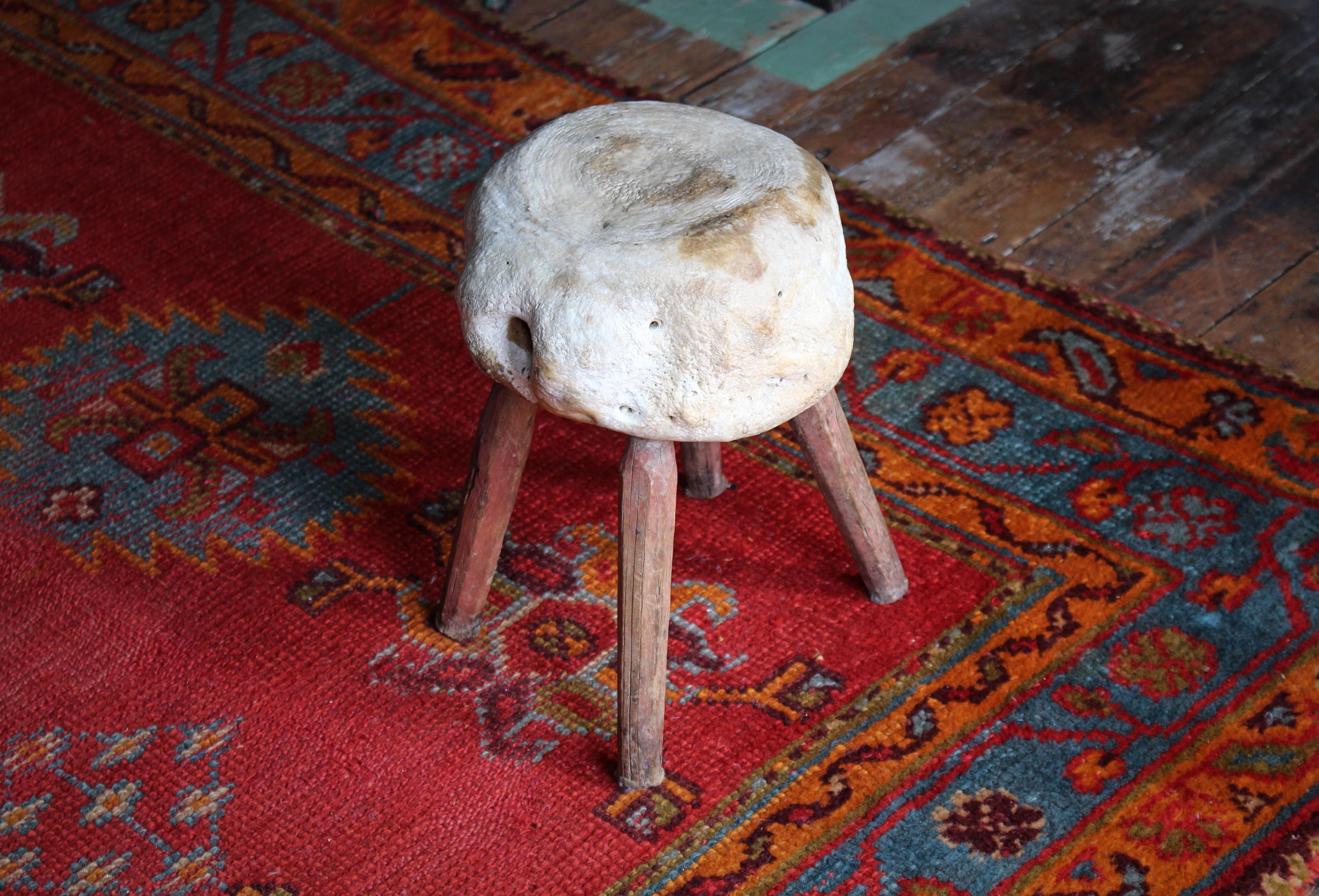 Taxidermie de tabouret de pied vernaculaire à vertèbres fossilisées du 19e siècle en vente 3