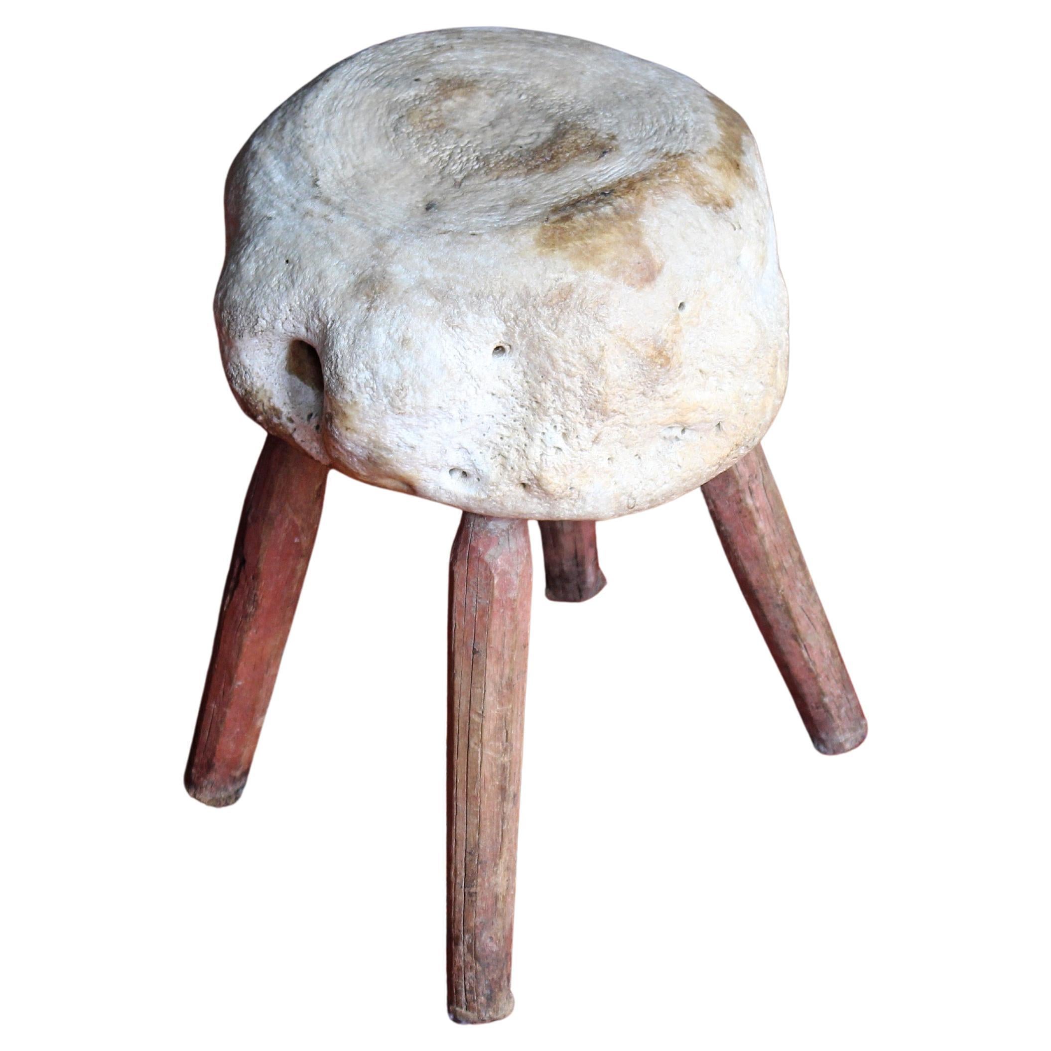 Taxidermie de tabouret de pied vernaculaire à vertèbres fossilisées du 19e siècle en vente