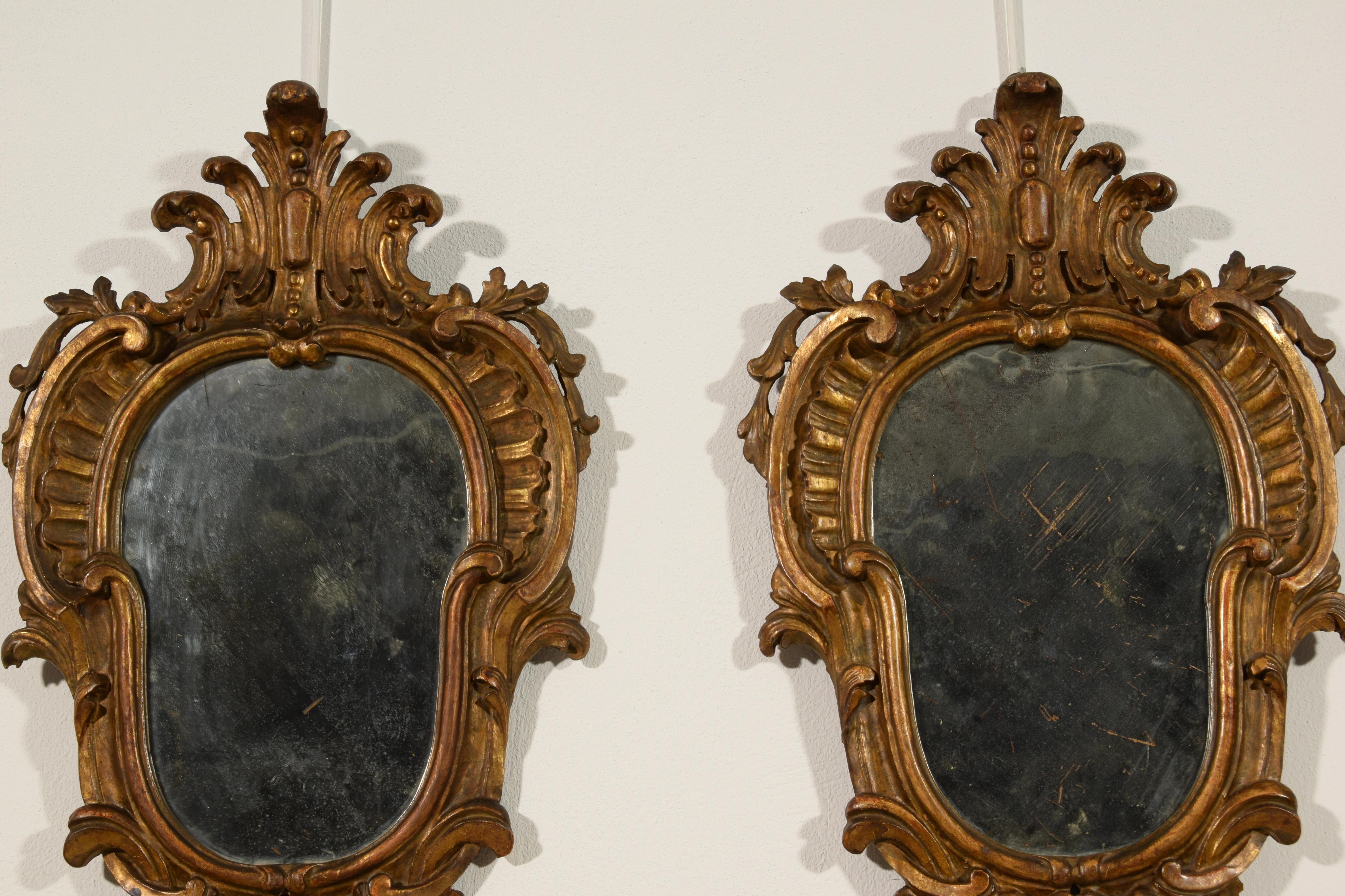 19th Century, Four Italian Carved Giltwood Louis XV Style Sconces For Sale 7