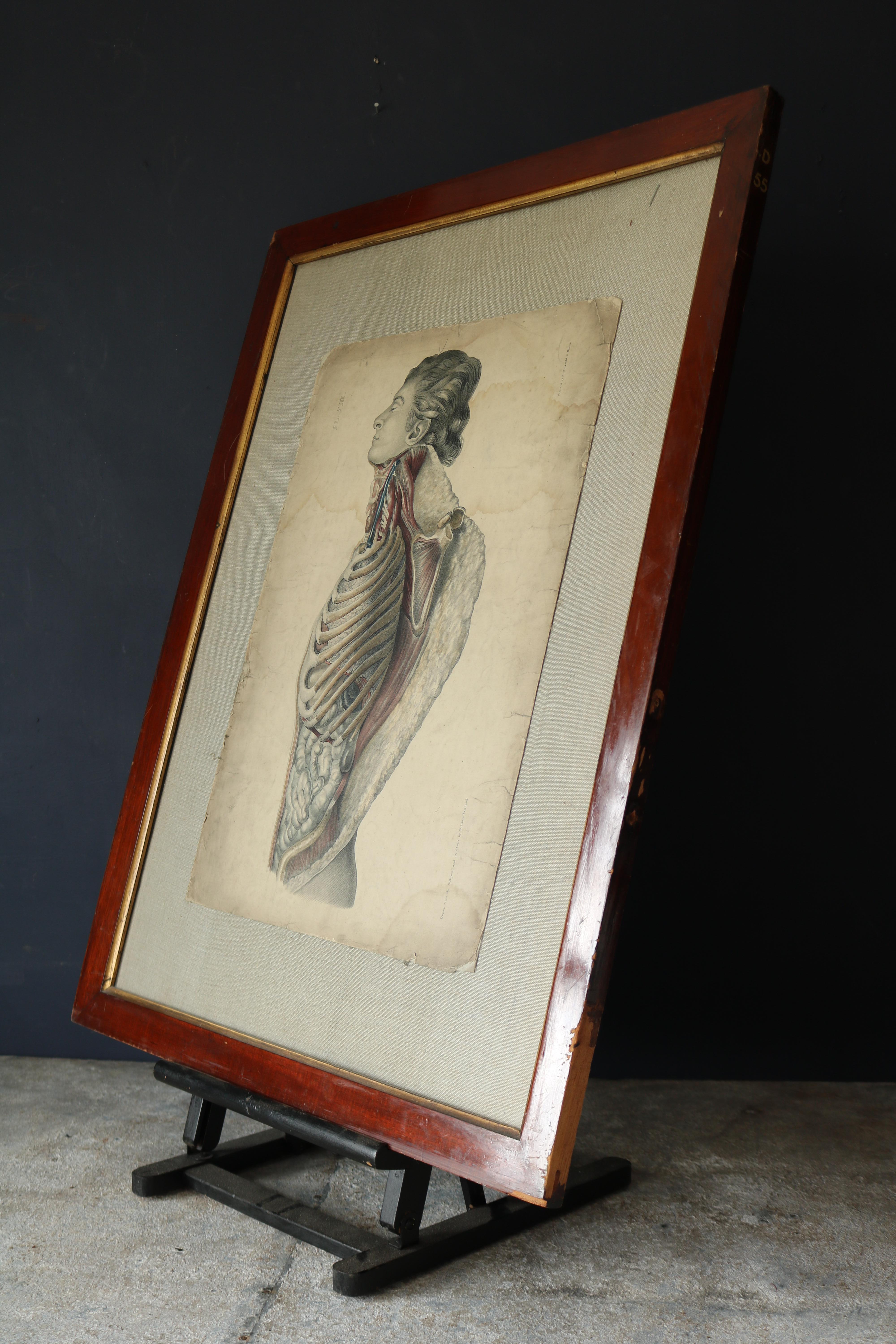 English 19th Century Hand Colored Lithograph by William Fairland