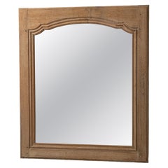 19th Century France Warm Honeyed Oak Oak-Framed Wall Mirror