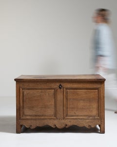 19th Century France Weathered Honey Oak Carved Oak Blanket Chest
