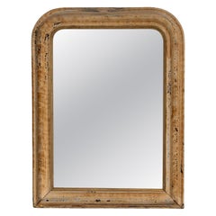 19th Century France Weathered Whitewash Cerused Oak Wall Mirror