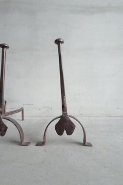 19th Century French Andirons in cast iron