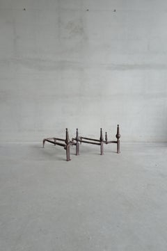 19th Century French Andirons in cast iron