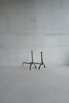 19th Century French Andirons in cast iron