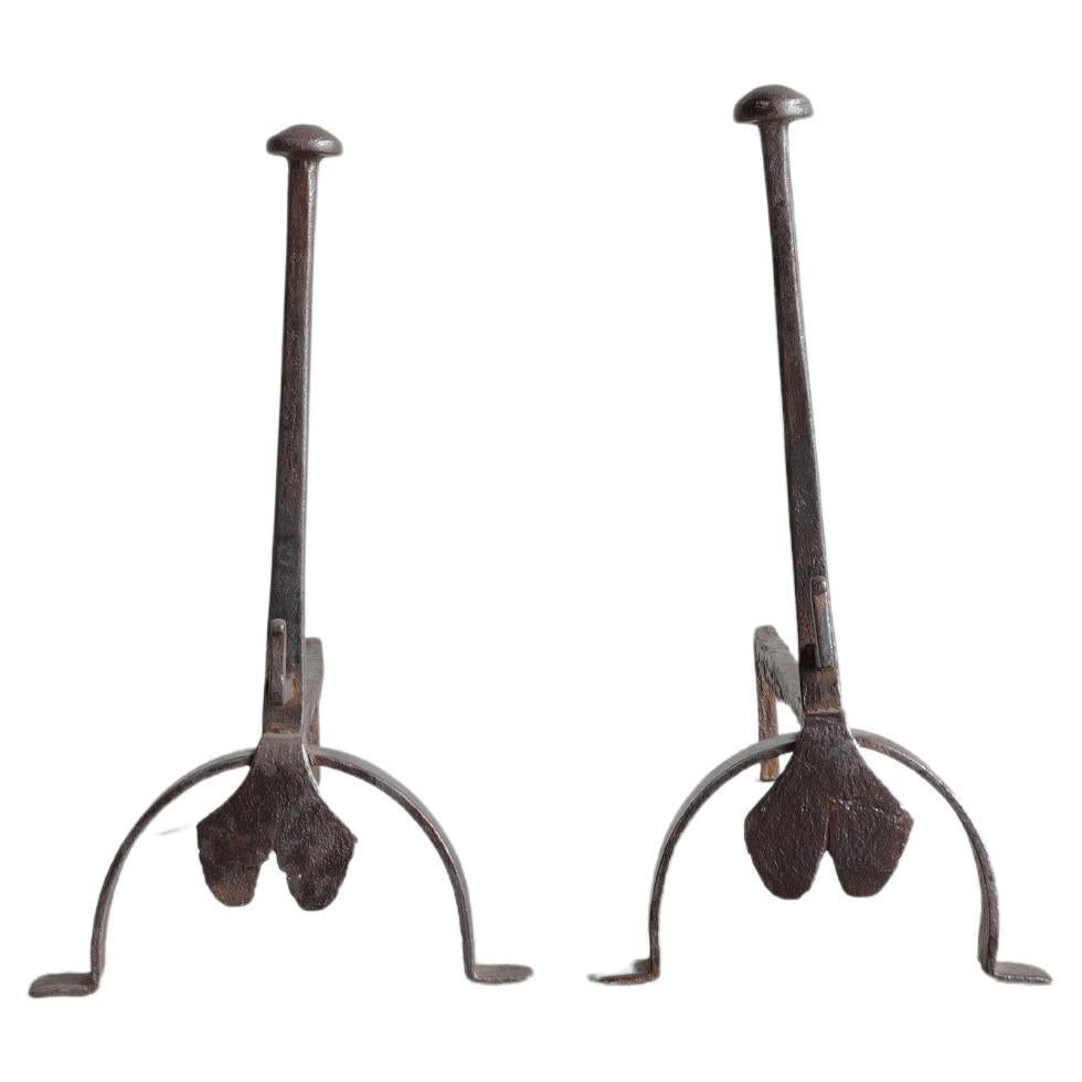 19th Century French Andirons in cast iron