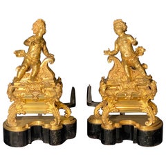 19th Century French Andirons, Opposing Cherubs on Stands in Doré Bronze